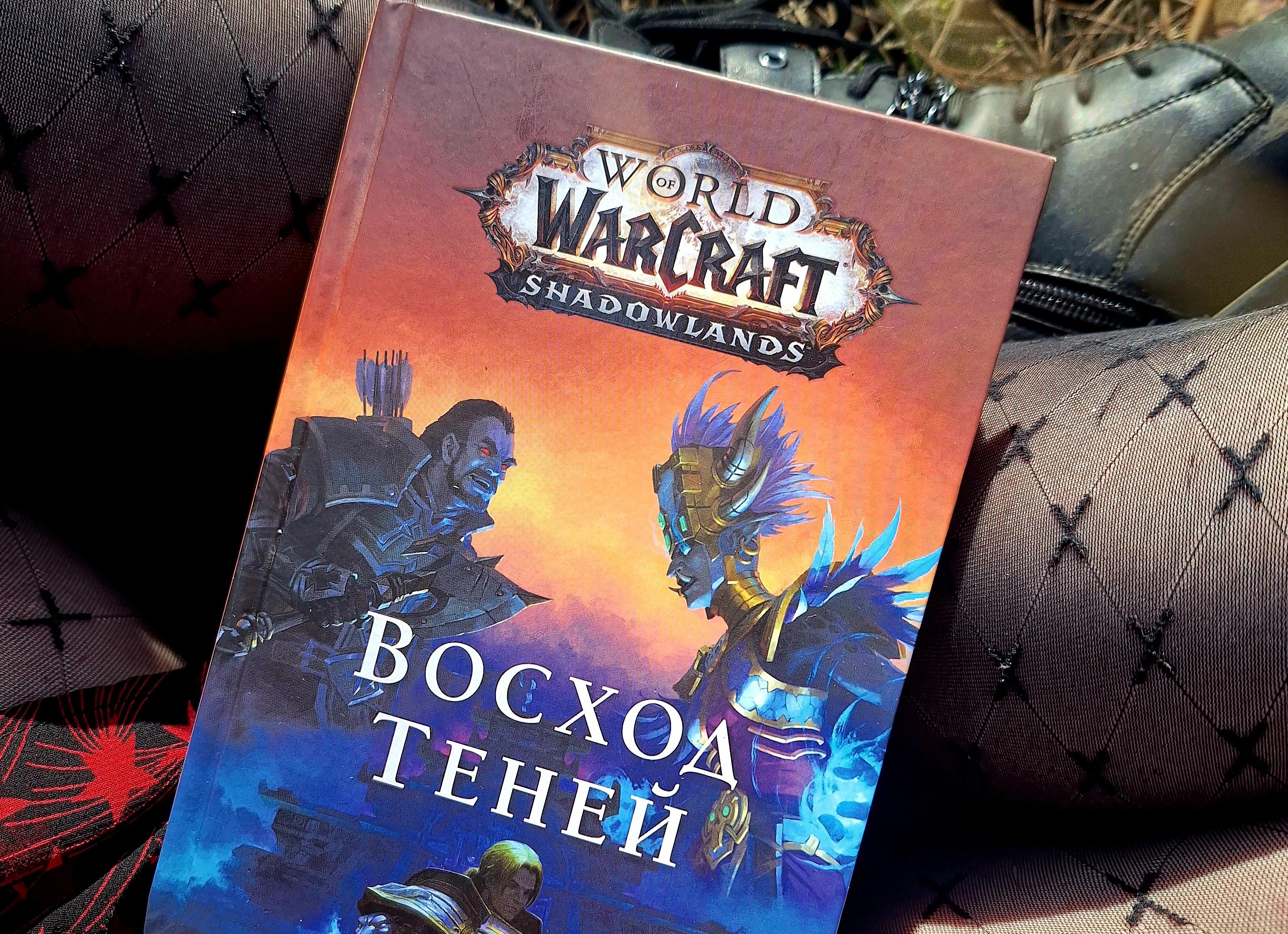 Мой World of Warcraft, от рассвета до заката.