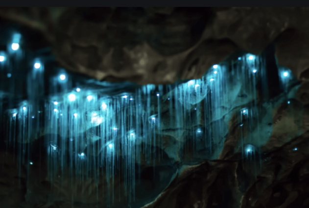 Ответы на игру WoW. Уровень Пещеры светлячков вайтомо