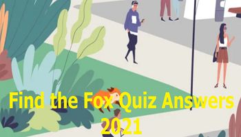 Videoquizhero - Find the Fox Ответы