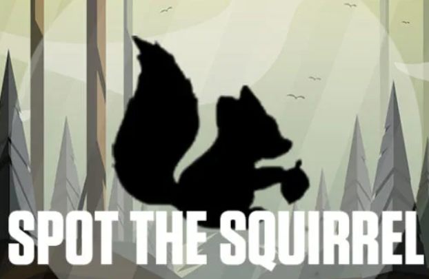 Ответы Spot the Squirrel Quiz Bequizzed