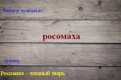 Как пишется название животного Росомаха или Россомаха?