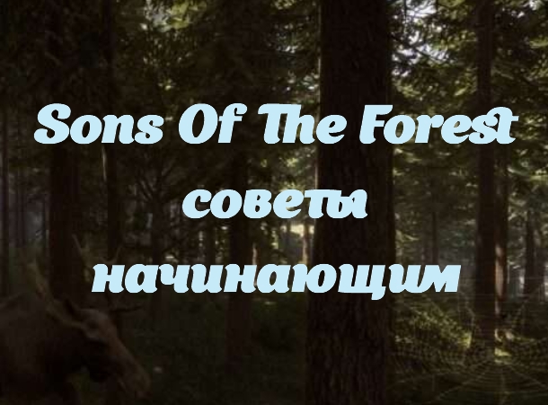 Sons Of The Forest - советы начинающим