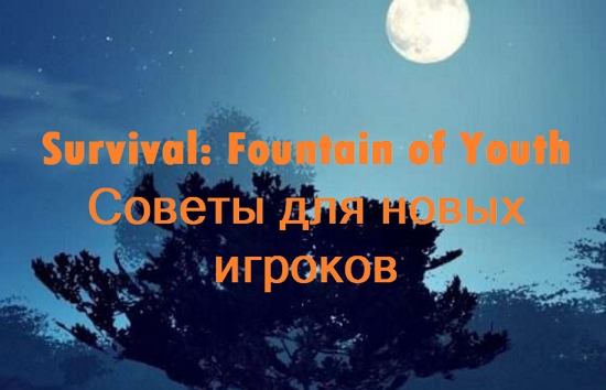 Survival: Fountain of Youth — советы начинающим