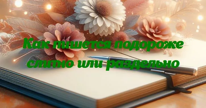 Правильное написание: «подороже» — слитно или раздельно?